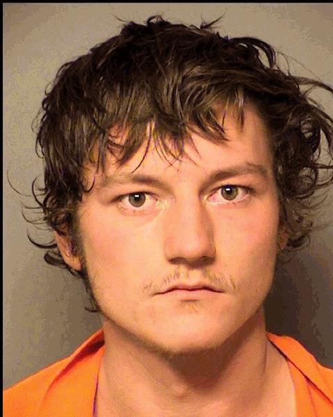 William Michael Nelson Jr.